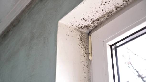 Water Damage Restoration in Walnut Cove, NC