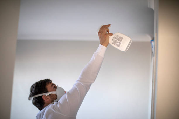 Best Mold Damage Repair  in Walnut Cove, NC