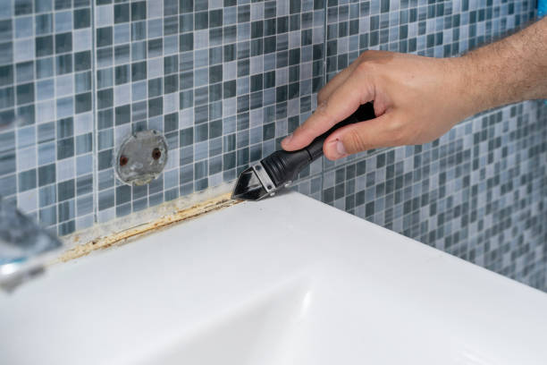 Walnut Cove, NC Mold Removal Company